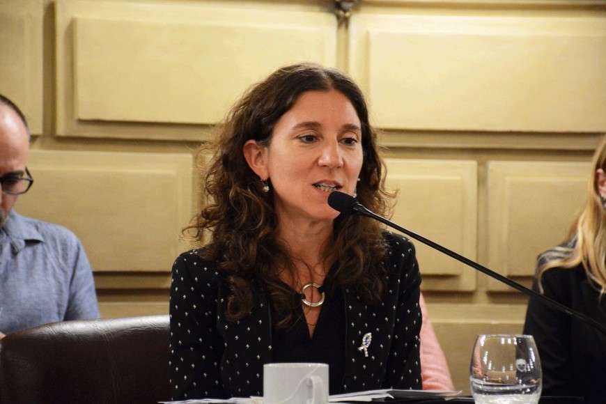 La senadora por General López, Leticia Di Gregorio, plantea un extenso proyecto de ley que da a Obras Públicas más facultades para convocar a empresas privadas.  Crédito: Archivo El Litoral