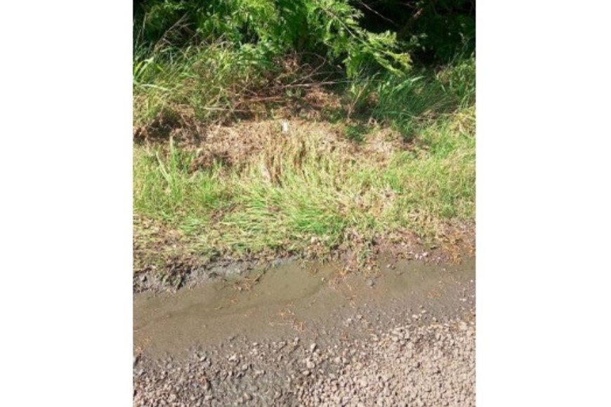 El camión atmosférico desechó los líquidos cloacales en calle Güemes entre Cavanagh y Alberdi.