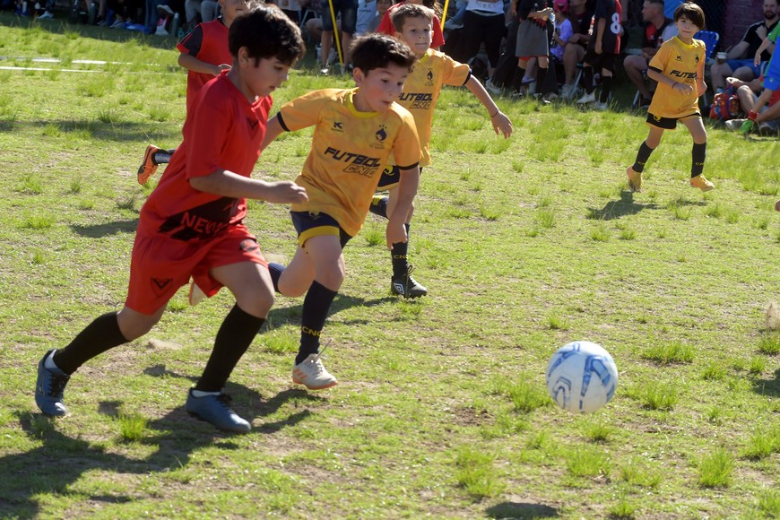 Fotos: Guillermo Di Salvatore