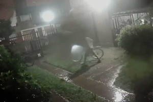 En medio del temporal, los ladrones se llevaron una docena de rodados.