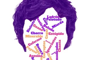 nube insultos milei larreta