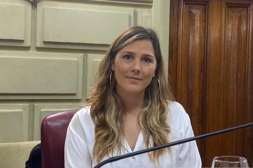 Diputada provincial Ximena García.