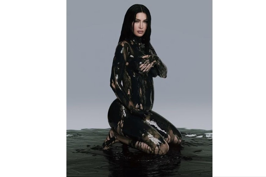 Megan anuncio su embarazo