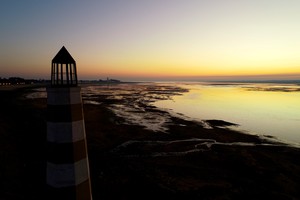 Imagen ilustrativa. Crédito: Fernando Nicola