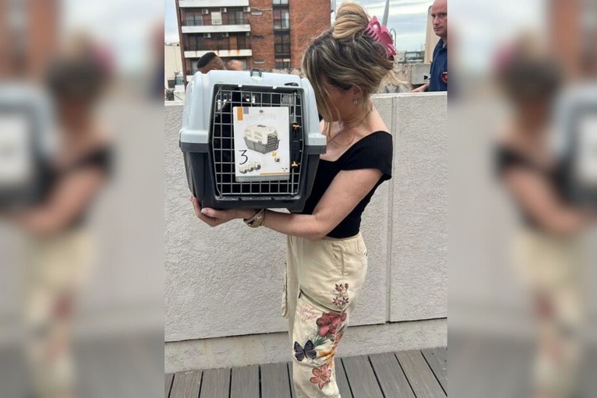 Fátima Florez con su gato rescatado.