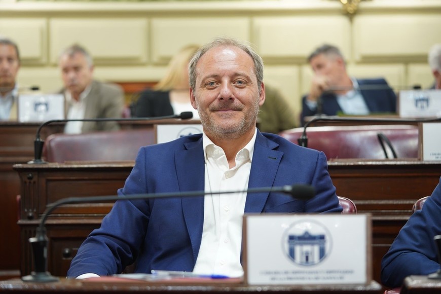 Scavuzzo destacó que con esta ley se busca democratizar el acceso al arte.