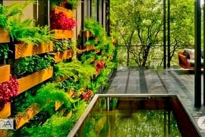 En la arquitectura wellness, el bienestar es multidimensional. Uno de sus elementos fundamentales es el uso de la luz natural, un recurso intangible pero esencial para que los espacios cobren vida.