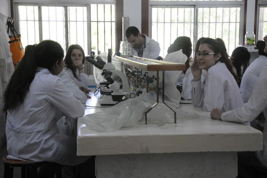 El 61% de los aspirantes al ingreso 2025 son mujeres.  Crédito: Flavio Raina