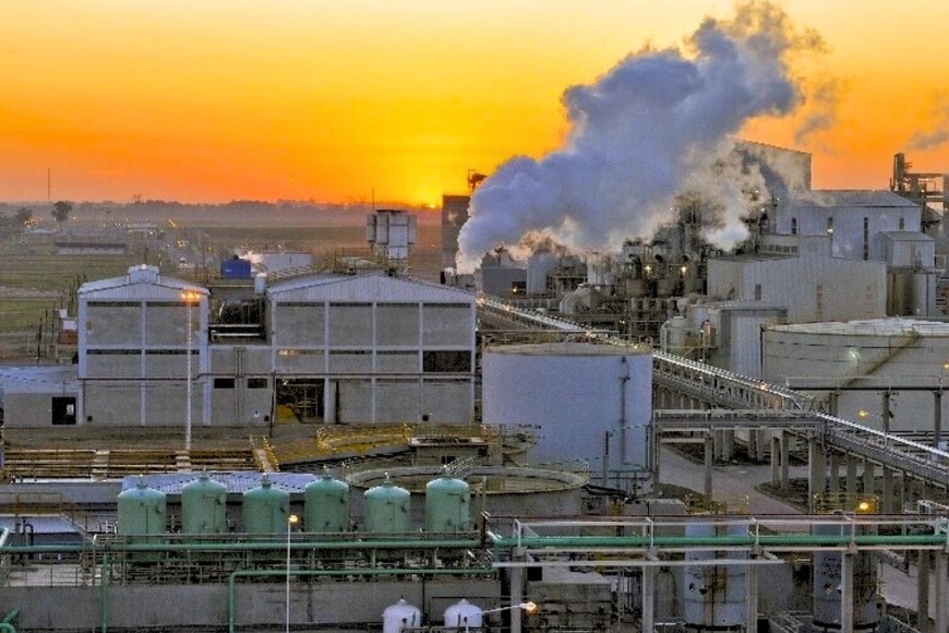 produccion de biodiesel