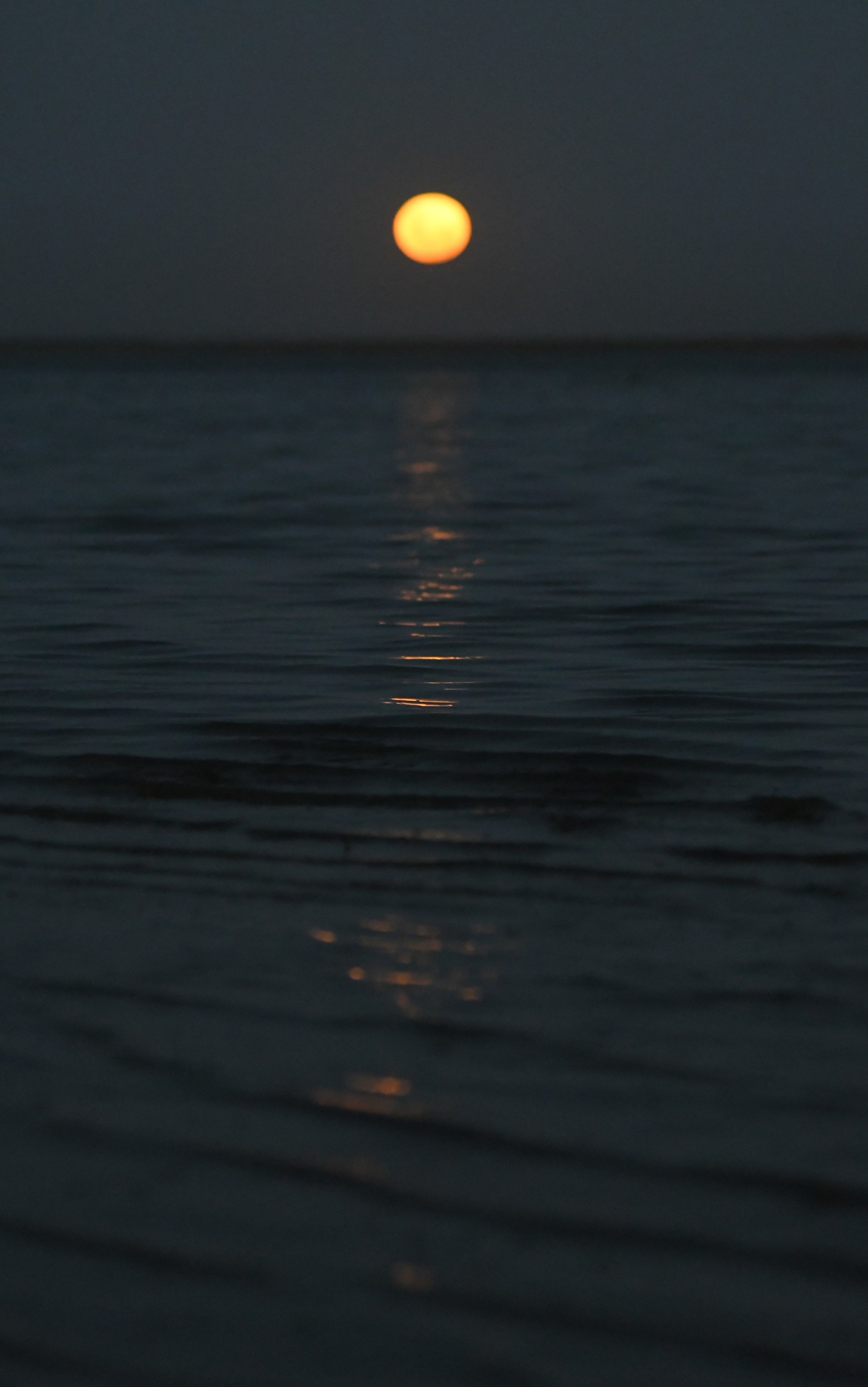 Tarde de la Luna del Lobo en la costanera santafesina