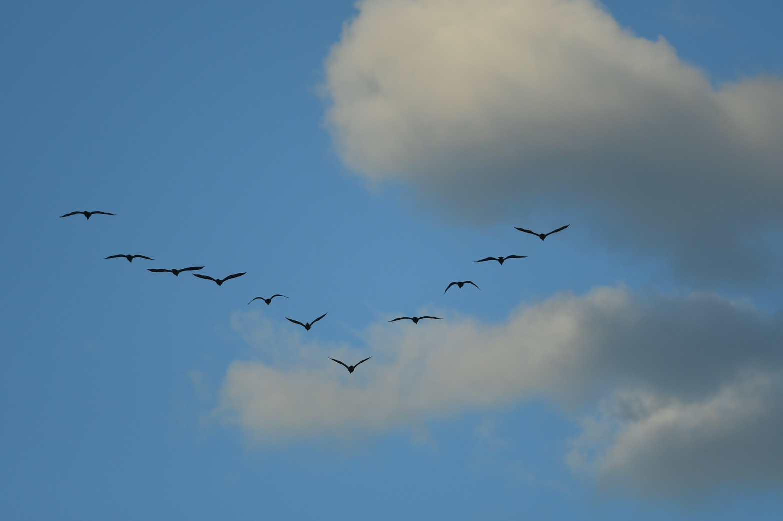 Tarde de la Luna del Lobo en la costanera santafesina
