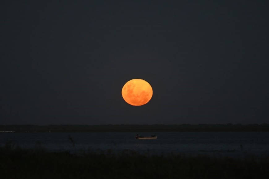 Fotos: Manuel Fabatía.