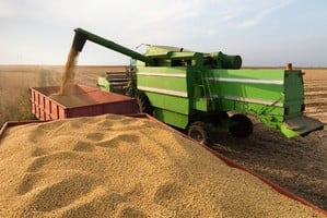 La soja es el principal cultivo alcanzado por la medida. 