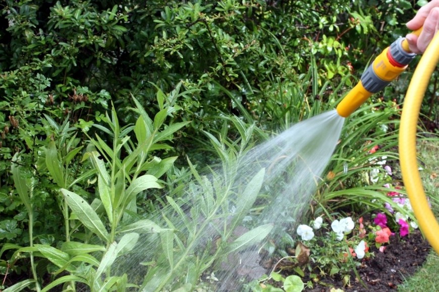 Riego de plantas. En caso de usar una manguera es aconsejable utilizar un dispositivo de corte para evitar derroches, dicen desde la prestataria. Archivo