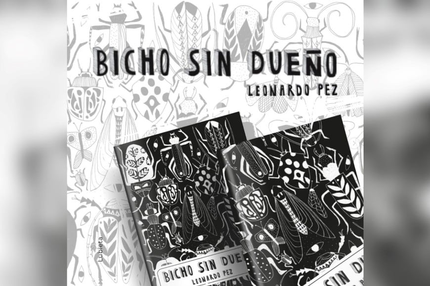 "Bicho sin dueño", de Leonardo Pez. Gentileza