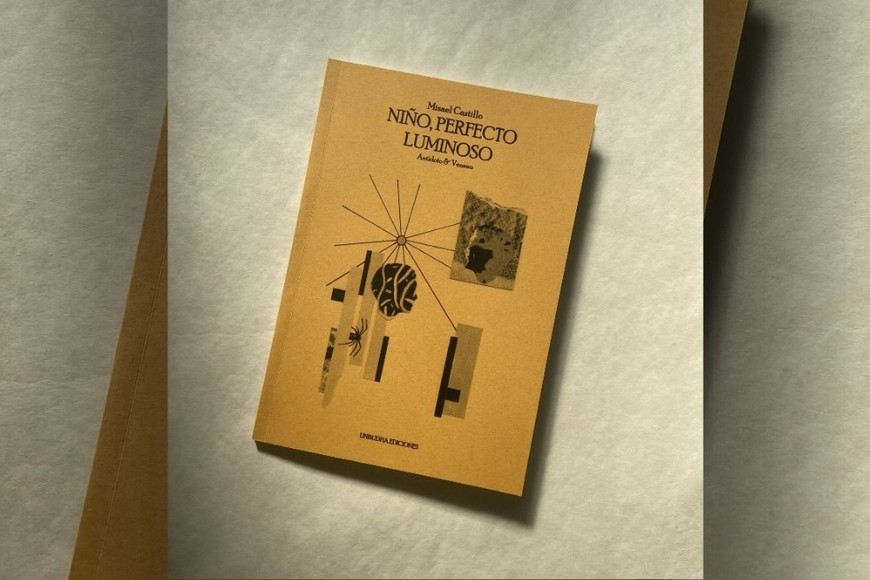 Portada del reciente libro de poemas de Misael Castillo. Gentileza