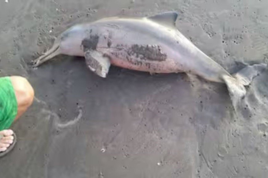 No es la primera vez que ocurre un hecho de estas características.