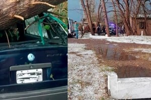 Los fuertes vientos provocaron la caída de un árbol sobre un auto.