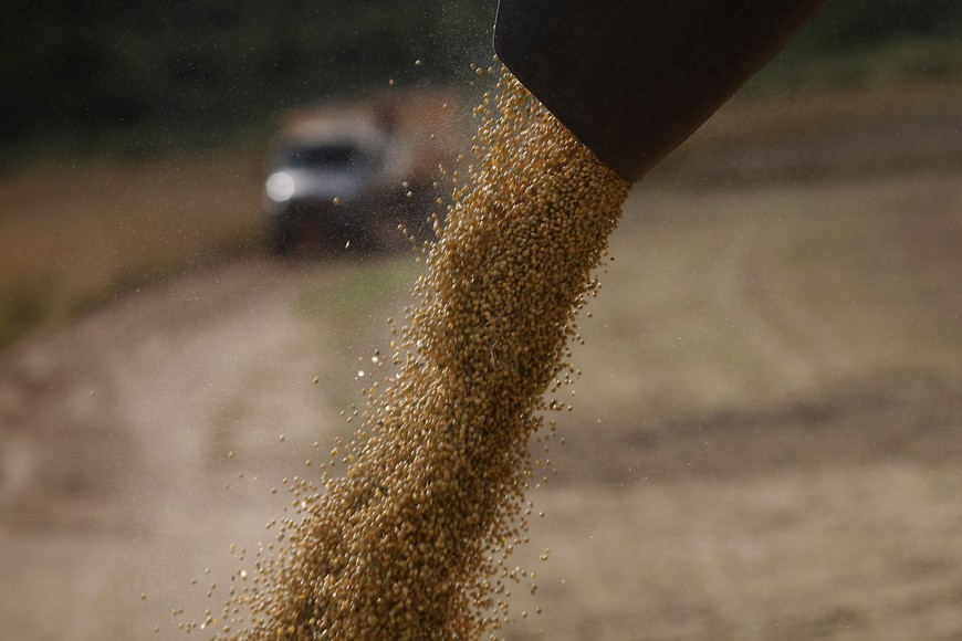 El mercado sigue atento a los movimientos del gobierno.