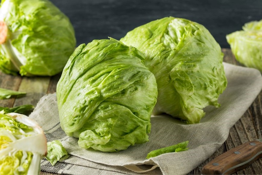 La lechuga iceberg es ideal para ensaladas frescas.