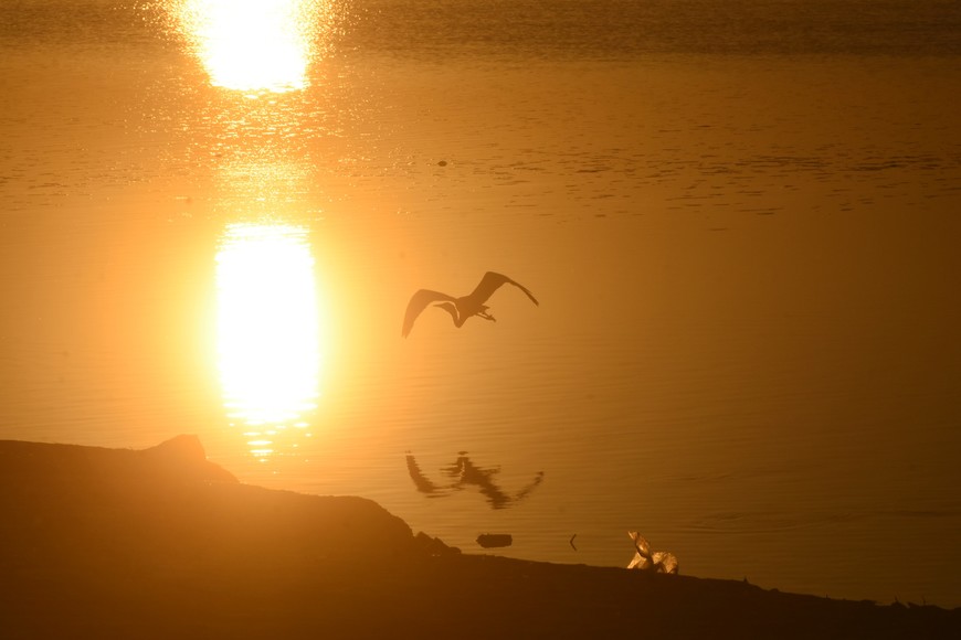 Imagen ilustrativa. Crédito: Flavio Raina
