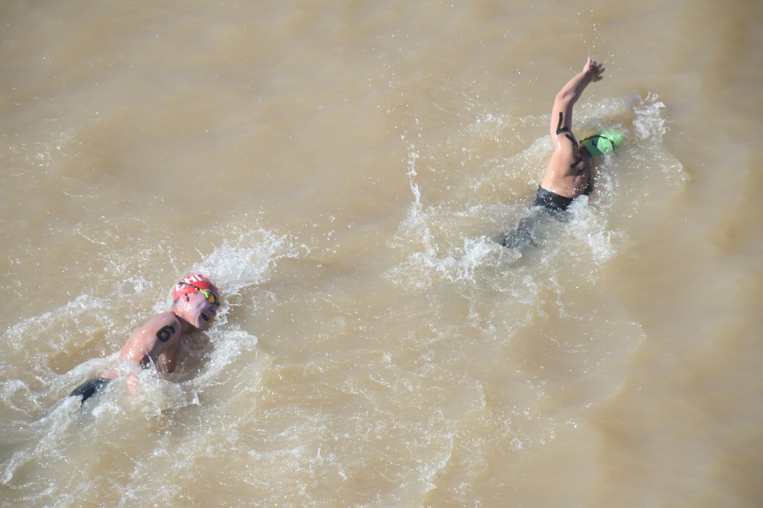 Maratón Santa Fe-Coronda. Foto: Flavio Raina