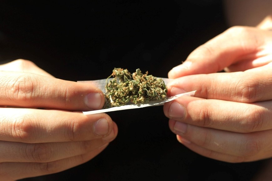 cannabis marihuana cogollo porro faso