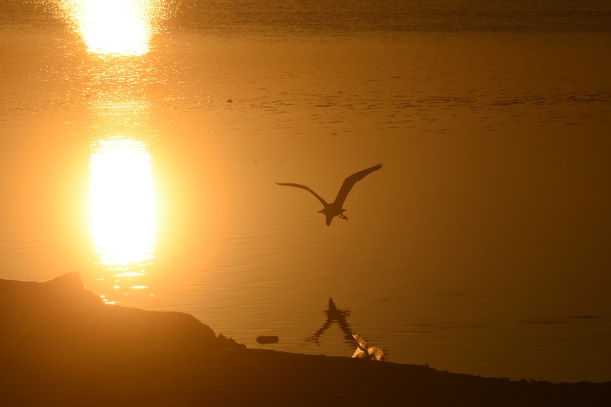 Imagen ilustrativa. Crédito: Flavio Raina