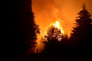 Río Negro declaró la emergencia ígnea ante el riesgo extremo de incendios. Foto: Reuters