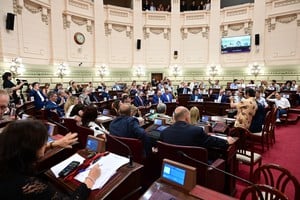 Con mayoritario apoyo a los postulados, la sesión dejó lugar para algunas chicanas y también fuertes imputaciones. Crédito: Flavio Raina.