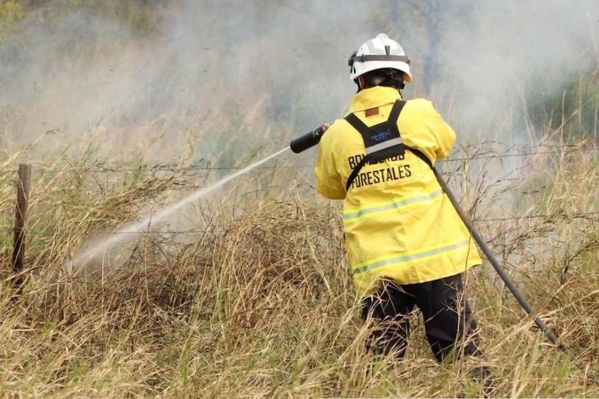 La provincia de Corrientes enfrenta una devastadora serie de incendios