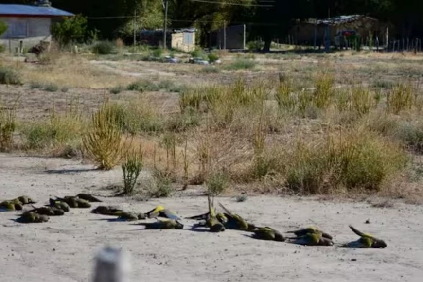 Las autoridades locales y nacionales están investigando las causas