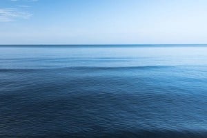 El equipo de investigación planea continuar analizando más muestras y espera que otros grupos se unan a la investigación.