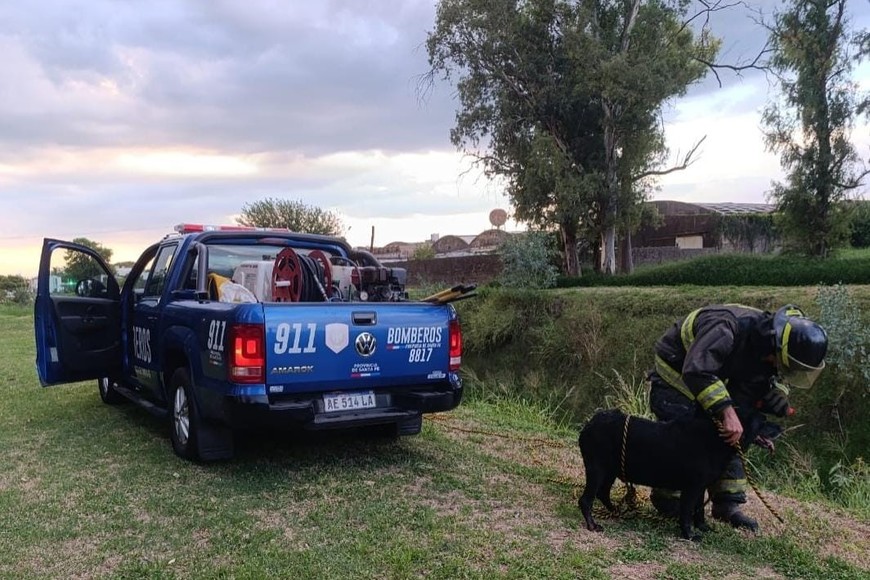 Mediante maniobras controladas y una cuerda de seguridad, el can fue rescatado.