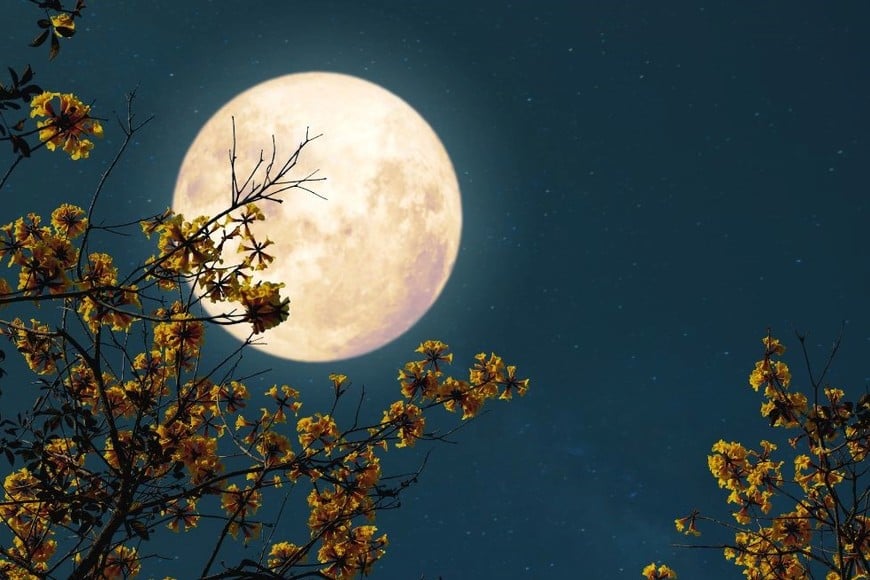 Consulta el calendario lunar de 2025 para alinear tu energía con el universo.