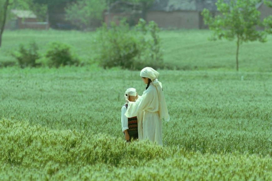 film chino “Girls on the Wire”(Chicas en la Cuerda) de Vivian Qu.