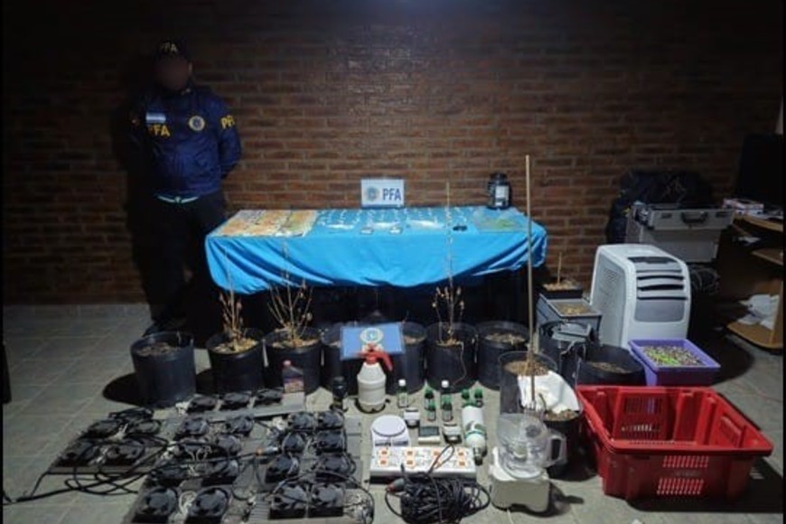 Cayó una banda narco: secuestraron 40 kilos de marihuana; LSD, cocaína, "tusi" y "cristal"