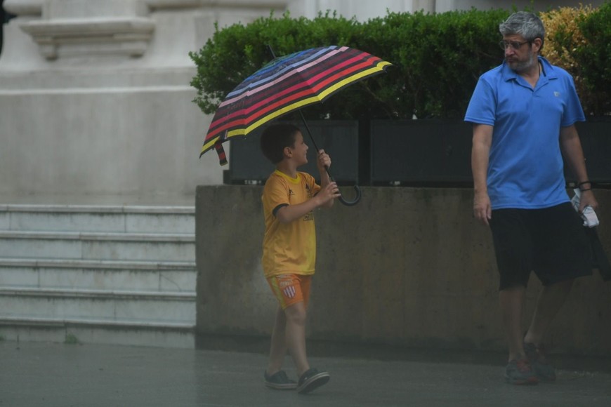 Foto: Manuel Fabatía.