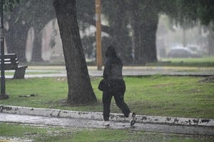 Fuerte tormenta en Santa Fe: lluvias y ráfagas de viento en varias localidades de la provincia - Image 2