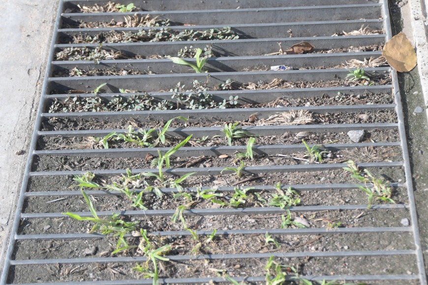 barrio sur reclamos Crédito: Manuel Fabatía