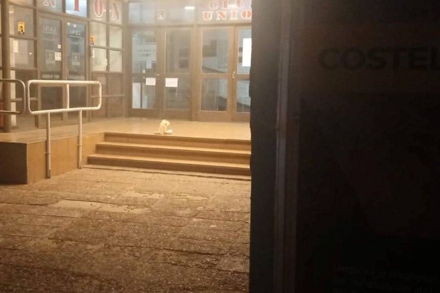 Los investigadores analizan las imágenes de las cámaras buscando pistas de los agresores.