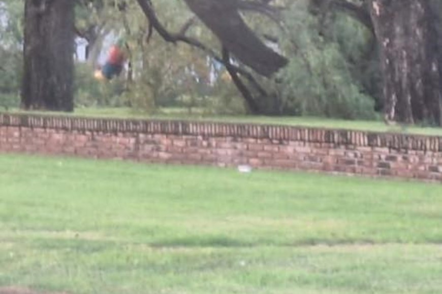 Un techo literalmente fue arrancado de cuajo por el fortísimo viento reinante. Crédito: Red San Genaro.