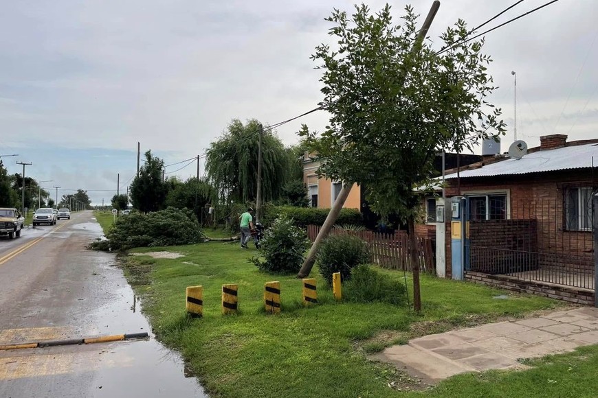 Importante cantidad de árboles caídos en la plaza. Foto: VerTv