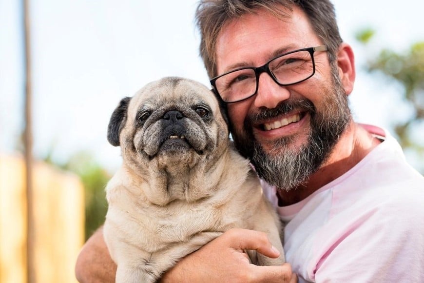 Las mascotas pueden reflejar rasgos de personalidad de sus dueños.