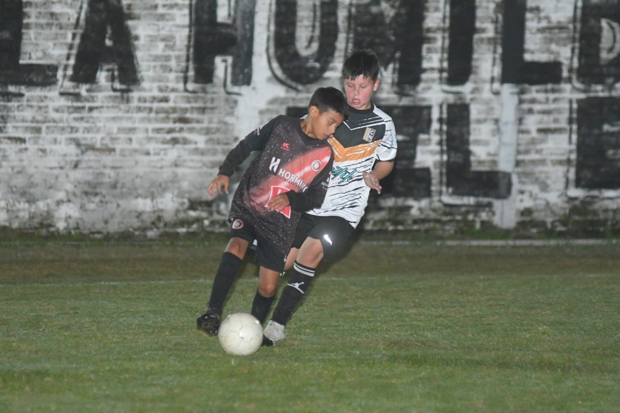 Torneo "Albos del Sur" con los más chicos de la Liga Santafesina. Crédito: Manuel Fabatía