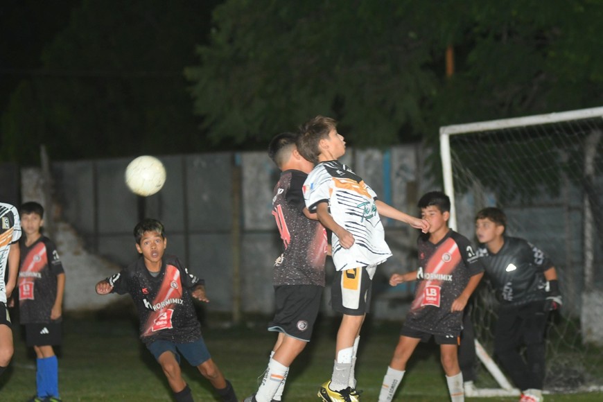 Torneo "Albos del Sur" con los más chicos de la Liga Santafesina. Crédito: Manuel Fabatía