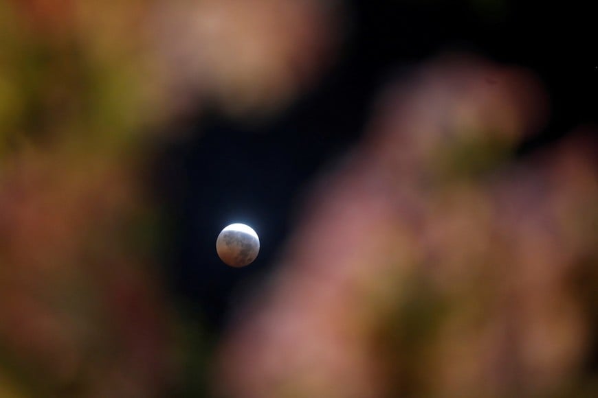 The moon is seen during a total lunar eclipse in San Salvador, El Salvador, March 14, 2025. REUTERS/Jose Cabezas