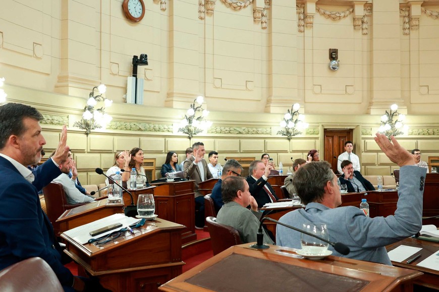 El Senado tiene en carpeta el proyecto.