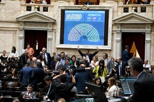 La Cámara baja convalidó el DNU del presidente Javier Milei que habilita a firmar un nuevo acuerdo con el Fondo Monetario Internacional. Crédito: HCDN.