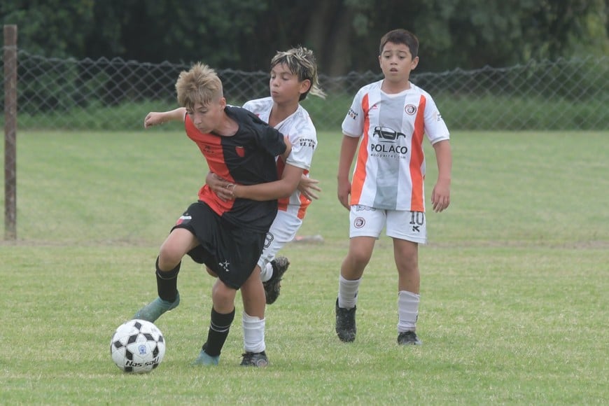 Torneo apertura inferiores infantiles Cosmos Colón